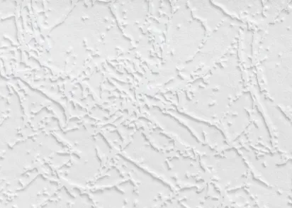 обои антивандальные 5735-13 ,25 x 1.06 м. , Германия