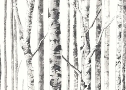 Обои Mayflower Solaris WMAFJ100114