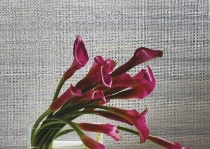 Обои York Candice Olson Breathless CP1274