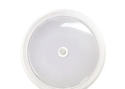 Настенно-потолочный светильник IN HOME 4690612020709