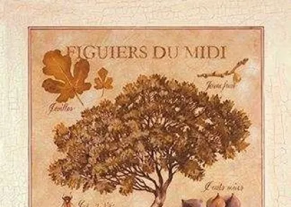 Плитка 25.8(425) Декор Herbarium 1 из 1 плитки 10x10