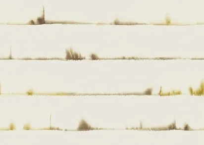 Обои Mayflower Solaris WMAFJ070126