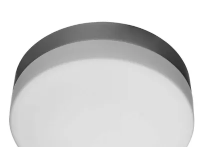 Потолочный светильник Arte Lamp Shirp A3211PL-2SI