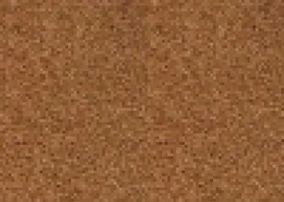 Tapibel President 47847