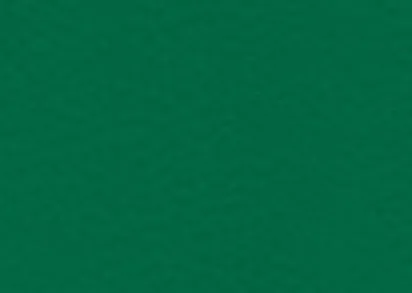 Gerflor Taraflex® Evolution 655 Forest