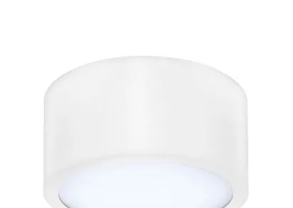 Потолочный светодиодный светильник Lightstar Zolla 211916