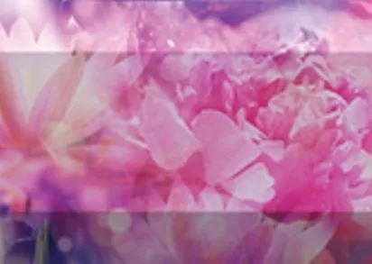 Плитка Бордюр рельефный Treasure br1020D300-2 20х10