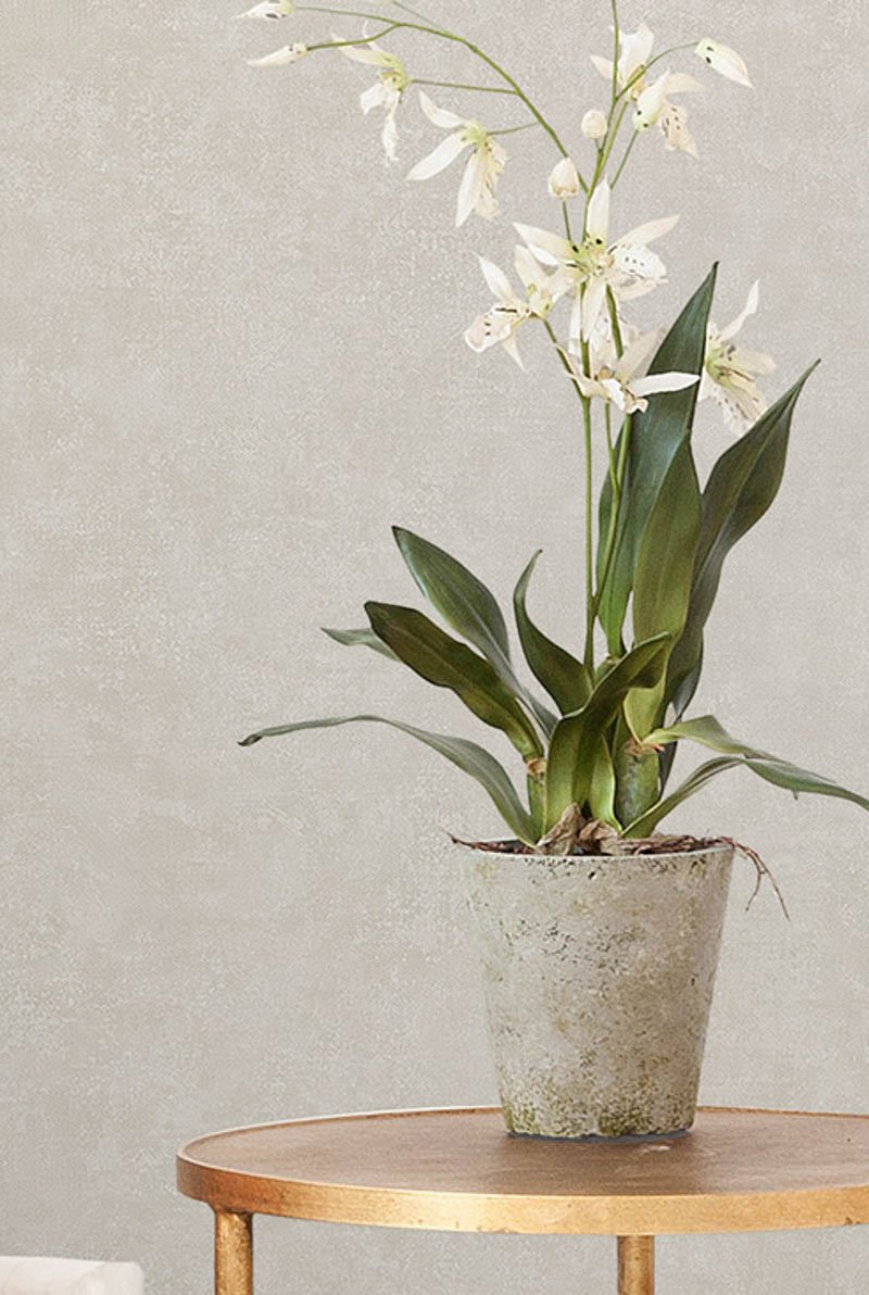 Обои Sirpi Academy a tribute to Gustav Klimt 25668